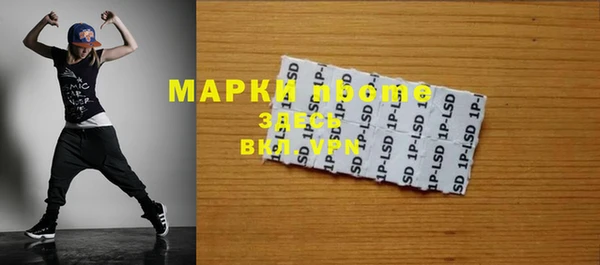 стаф Осинники