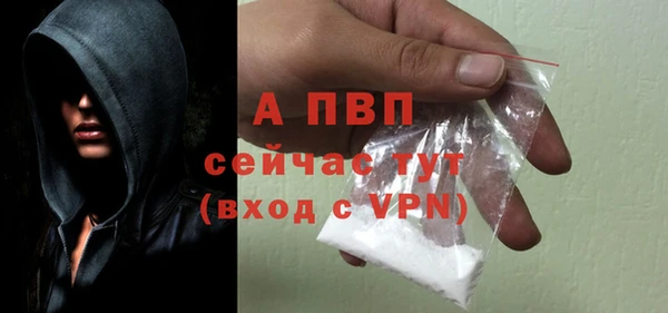 спиды Няндома