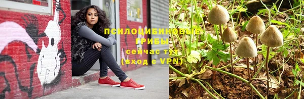 стафф Нягань