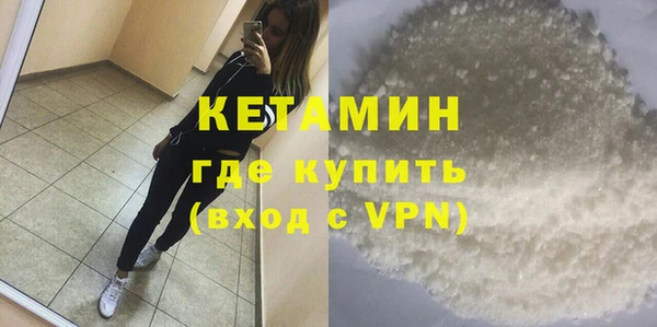стаф Осинники
