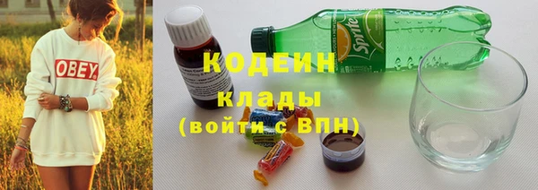 стаф Осинники