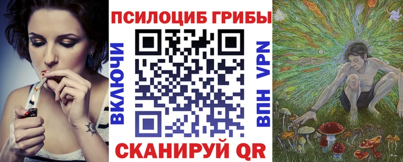 купить   Ивдель  Галлюциногенные грибы Magic Shrooms 
